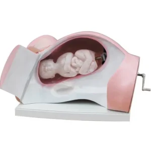 MODEL FOR COURSE OF DELIVERY